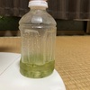 美容男子の白髪対策５　アロエ不夜城活用液