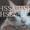 どうやらHSS型HSPじゃなくHSEかも？