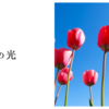 愛の光