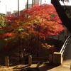 川越・喜多院　紅葉のお寺　２