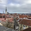61. Tallinn, a Town of Medical Herbs