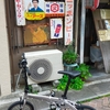 折り畳み自転車を購入して実際に乗車等しての感想（ルノー PLATINUM LIGHT8 AL167 16インチ）