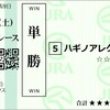 2024年　平安ステークス　予想