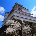 ○○行ったらこれを買う♡ （元添乗員の旅先土産♪）