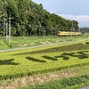 田んぼアートを見に行ってみた