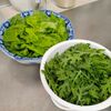 5月の収穫　春菊の花ってどんな花？