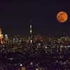 月と東京