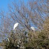 王禅寺かわるんパーク