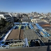 １号店４階養魚場の今日の写真