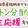 【１/３１】イトーヨーカドー・ヨーク・永谷園・丸美屋・桃屋 サキホコレ1トン分当たるキャンペーン【レシ /  web 】