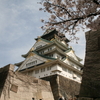 大阪城公園の桜でデジタル一眼デビュー