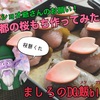 【ティア飯再現】咲き誇る桜！王都の桜もち作ってみた！