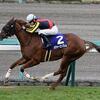 阪神ジュベナイルフィリーズ 馬単・三連単パーフェクト - 牝馬世代限定G1戦と古馬G1戦の関係