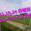 2021,10,24 日曜日 トラックバイアス予想 (東京競馬場、阪神競馬場、新潟競馬場)