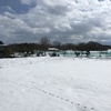 昨日、まだ畑はきれいな雪景色だった