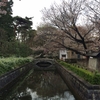 小金井公園