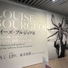 ブルジョワ展と高橋コレクションを見てきた