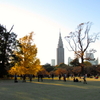 東京紅葉便り━新宿御苑━