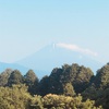 今朝の景色