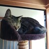 もやしの値上げ