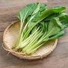 小松菜は優秀なお野菜です