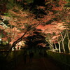 松雲山荘のライトアップ