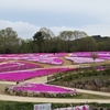 花追い旅：Flower  village  花夢の里 ①（広島県世羅郡世羅町）