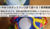 ローヤルの、たのしく知育！やみつきボックスはいつからいつまで遊べる？生後半年から1歳半も遊べます