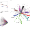 ニューラルネットワークによるデータの次元削減(Reducing the Dimensionality of Data with Neural Networks)（４）