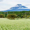 富士山　紅葉の下見