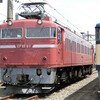 EF81 97