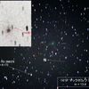 バーストした？ 141P マックホルツ 第2彗星 8月23日未明