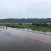 静岡で30km走〜雨が降っても走る人々〜