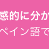 「直観的に分かるプレゼン/グラフ」をスペイン語で何と言うか？