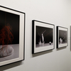 【写真展＆トーク】R4.6/17~28　村中修「Still Lifes on Slow life 2020-2022」＠gallery176