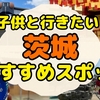 夏休み2025！子供と行きたい茨城県のおすすめスポット21選《随時更新》