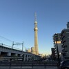 隅田川テラス14キロ：300キロ超の締めは14キロをキロ6ペース走で