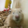 みそあん260日目
