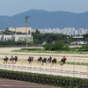 関釜フェリーで釜山到着、今日のメインは釜山慶南競馬場
