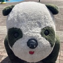 したがき