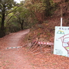 【佐賀県名所】作礼山に行ってきました