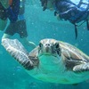 ファミリーで大満足！シミラン諸島！！