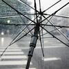 空気感染するってほんまでっか？