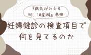 妊婦健診の検査項目で何を見てるのか【『病気がみえるvol.10産科』参照】