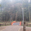 田村神社（滋賀県甲賀市）　平成26年12月29日　霧深く幻想的、厄落とし神社