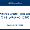 限界を超える体験！成長の鍵はストレッチゾーンにあり 