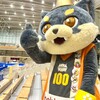 B3リーグ 2024-25SEASON 第29節 🏀金沢武士団VS香川ファイブアローズ