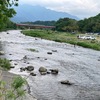 5月22日(木)荒川柳大橋の河川情報