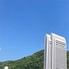 これぞ、五月晴れ☀️ 結跏趺坐にチャレンジ！