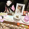 猫写真#973